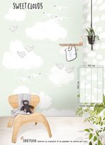 Behang Puck & Rose clouds