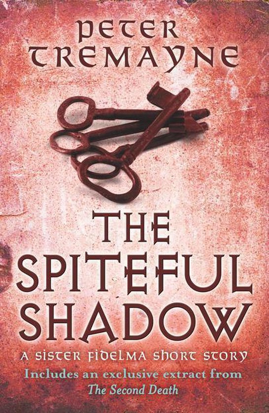 The Spiteful Shadow (A Sister Fidelma e-novella) - cover