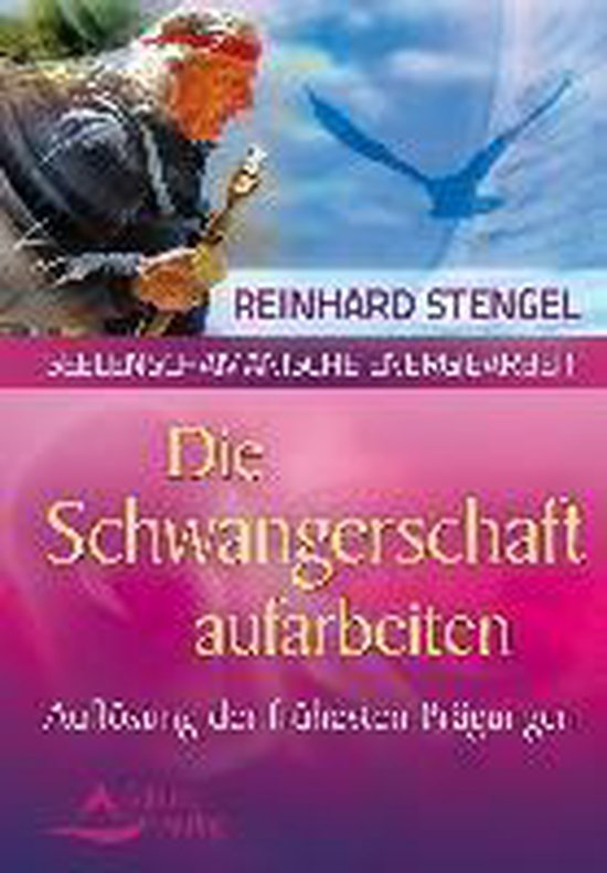 Boek cover Die Schwangerschaftsmonate aufarbeiten van Reinhard Stengel (Paperback)