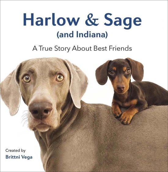 Harlow and Sage (ebook), Brittni Vega 9780857978592 Boeken