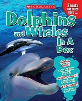Dolphins and Whales in a Box