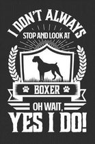 I Don't Always Stop and Look At Boxer OH Wait, Yes I Do!