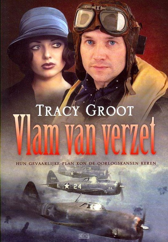 9789033125973 - VLAM VAN VERZET