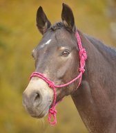 Knotted Halter