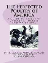 The Perfected Poultry of America