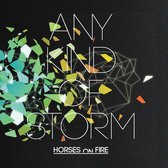 Any Kind Of Storm