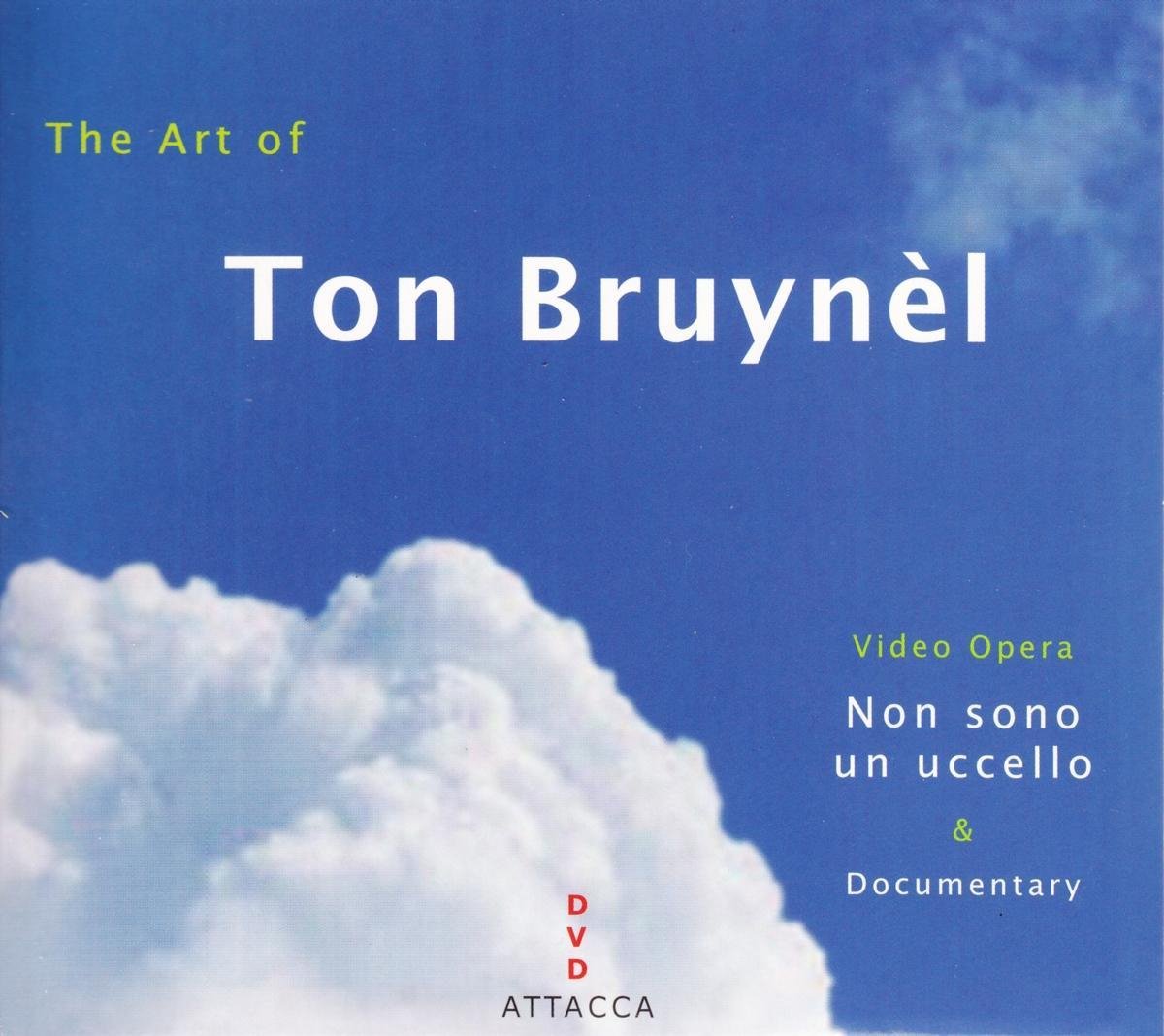 Art Of Ton Bruynel