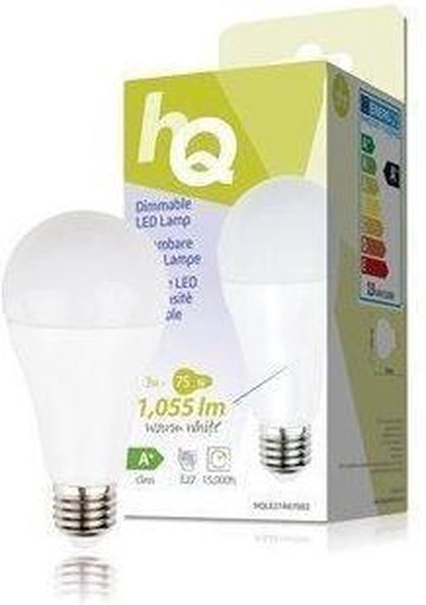 Lampes LED E27 - 13W (100W) - Blanc chaud - A60 Poire Givrée - 6