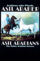 Asil Araber/Asil Arabians IV