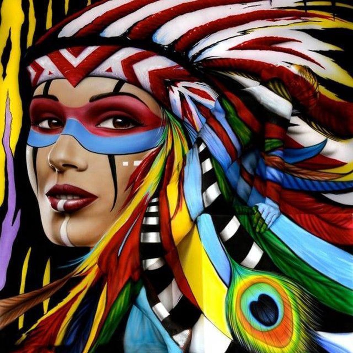 bol.com | diamond painting - Indiaan - 70x80 cm