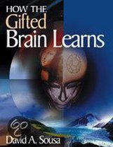 How the Gifted Brain Learns