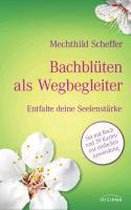 Bachblüten als Wegbegleiter-Set