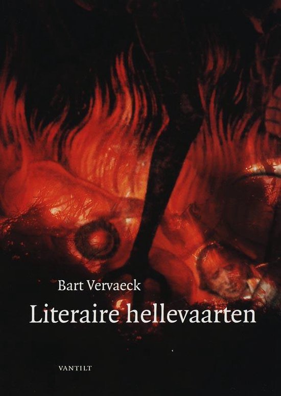 Cover van het boek 'Literaire hellevaarten / druk 1'