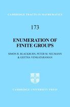 Enumeration of Finite Groups