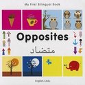 My First Bilingual Book - Opposites