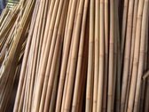 Bamboestokken - Tonkinstokken 270 cm per 100 stuks