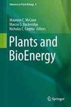 Advances in Plant Biology 4 - Plants and BioEnergy