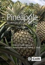 Botany, Production and Uses - Pineapple, The