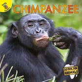 African Animals - Chimpanzee