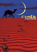 Camel Footage 1