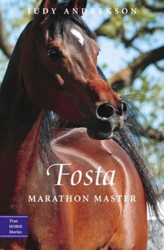 True Horse Stories 6 - Fosta - cover