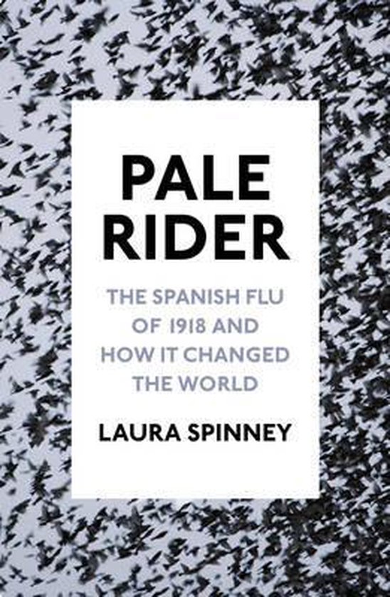 Pale Rider - cover