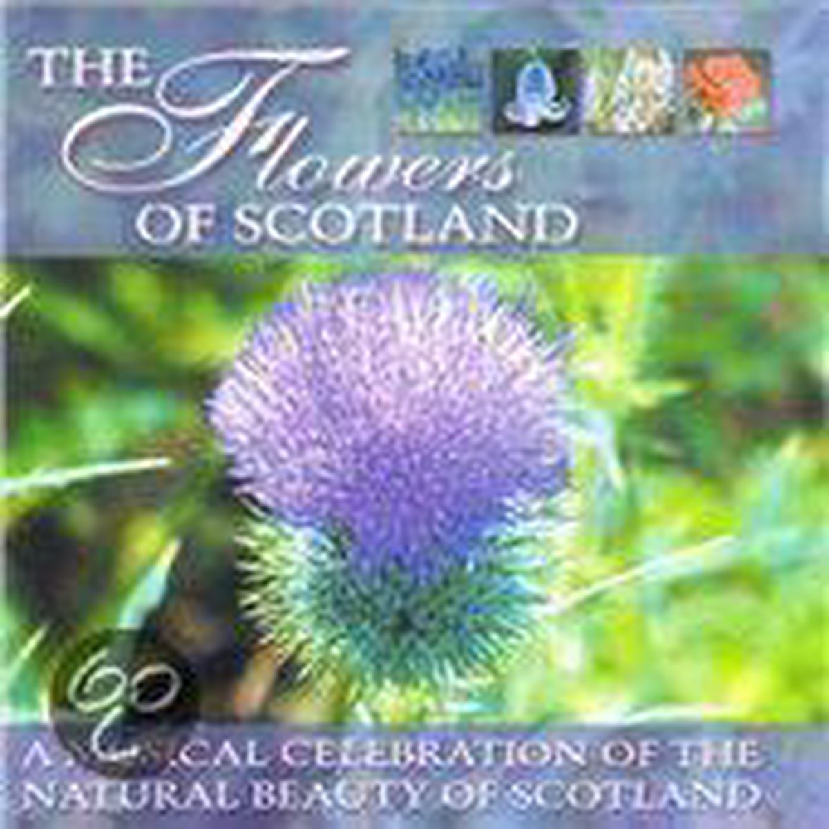 Flowers of Scotland, various artists CD (album) Muziek