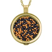 Quiges - Munthouder met Ketting en Munt 33mm Zirkonia Zwart Bruin - RVS Goudkleurig - ERHS268