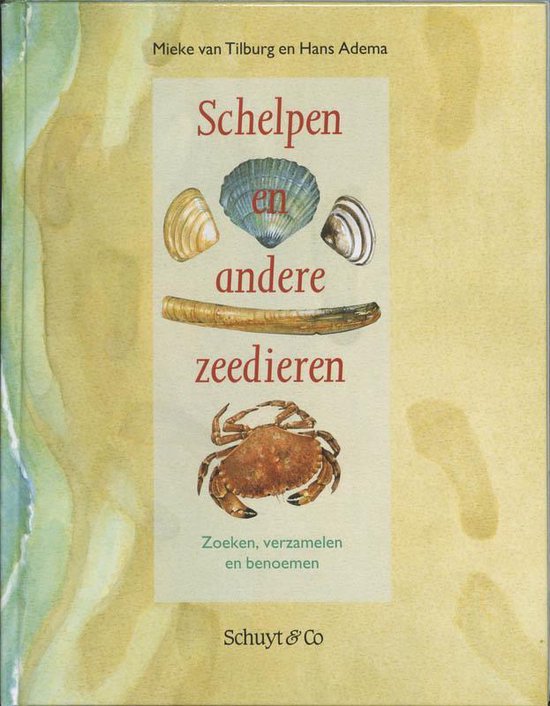 9789060973554 - Schelpen En Andere Zeedieren
