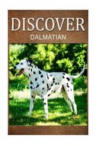Dalmatians - Discover