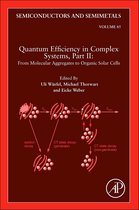 Quantum Efficiency In Complex Systems