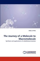 The Journey of a Molecule to Macromolecule