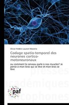 Omn.Pres.Franc.- Codage Spatio-Temporel Des Neurones Cortico-Motoneuronaux