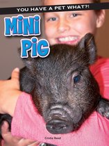 You Have a Pet What?! - Mini Pig