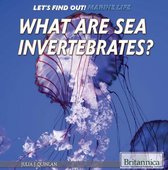 Let's Find Out! Marine Life - What Are Sea Invertebrates?