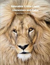 Adorable Lion, Lionesses and Cubs Full-Color Picture Book