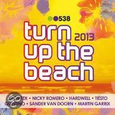 538 Turn Up The Beach 2013