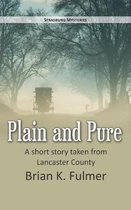 Plain and Pure