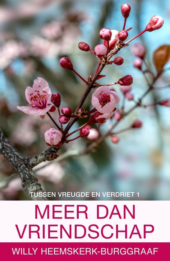 Tussen vreugde en verdriet 1 - Meer dan vriendschap - cover