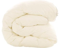Snoozing Lienz - Synthetisch - 4-seizoenen dekbed - Lits-jumeaux - 240x220 cm - Wit