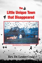 The Little Unique Town that Disappeared