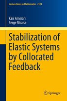 Lecture Notes in Mathematics 2124 - Stabilization of Elastic Systems by Collocated Feedback
