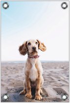 Tuinposter – Puppy op het Strand– 40x60cm Foto op Tuinposter (wanddecoratie voor buiten en binnen)