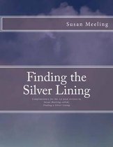 Finding the Silver Lining