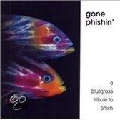 Gone Phishin': A Bluegrass Tribute To Phish