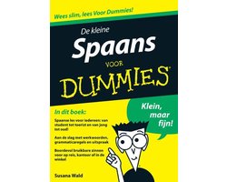 De Kleine Spaans Voor Dummies