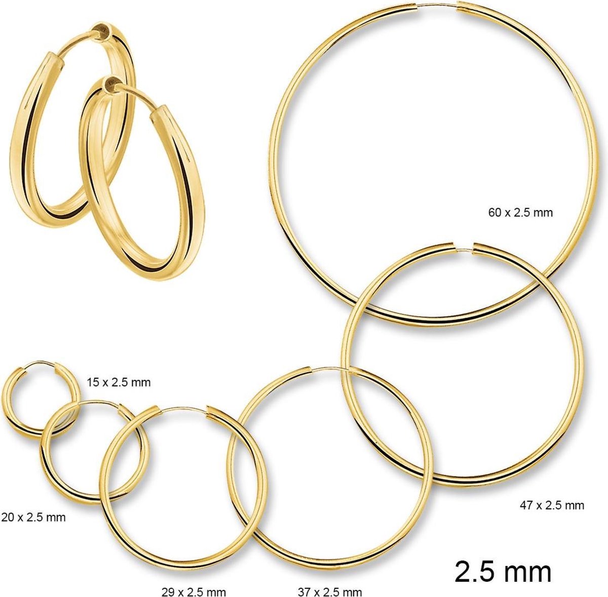 Huiscollectie 4001289 Gouden Oorring 25 mm rond