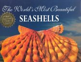 The World's Most Beautiful Seashells