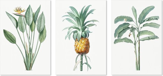 Graphic Message Drieluik Schilderij op Canvas - Tropische Planten - Botanisch 3 luik