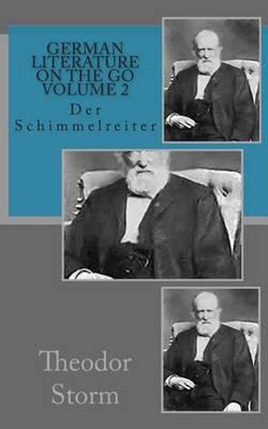 Der Schimmelreiter - cover